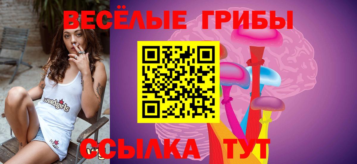 Псилоцибиновые грибы Magic Shrooms  Галлюциногенные грибы MAGIC MUSHROOMS  Тосно  Вход с VPN 