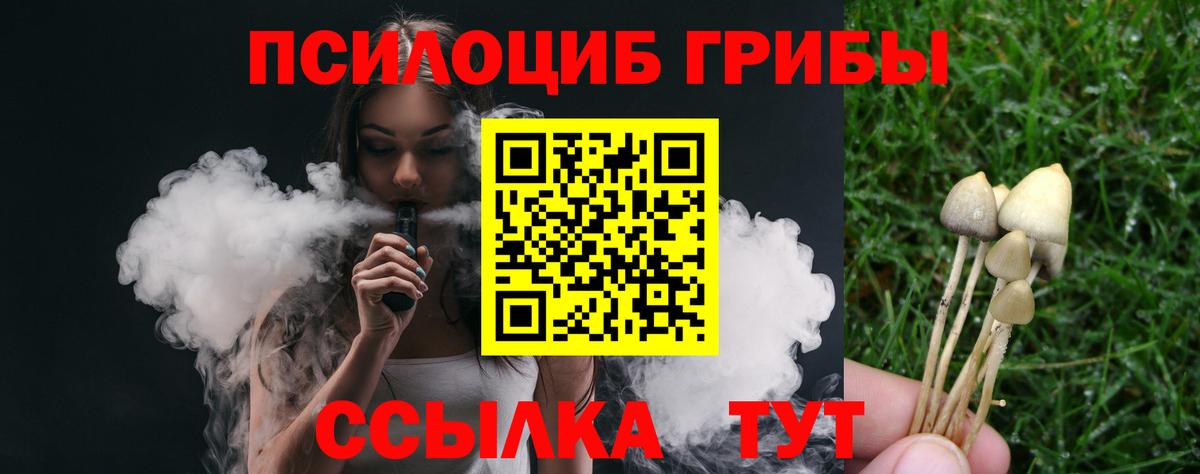 Галлюциногенные грибы Cubensis Тосно